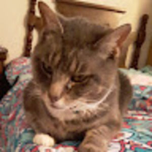 Meet your Posher, Olivia